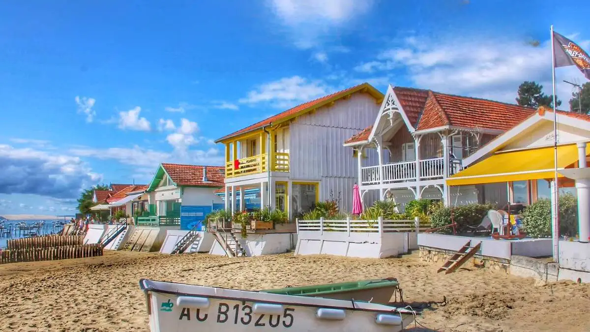 cap ferret
